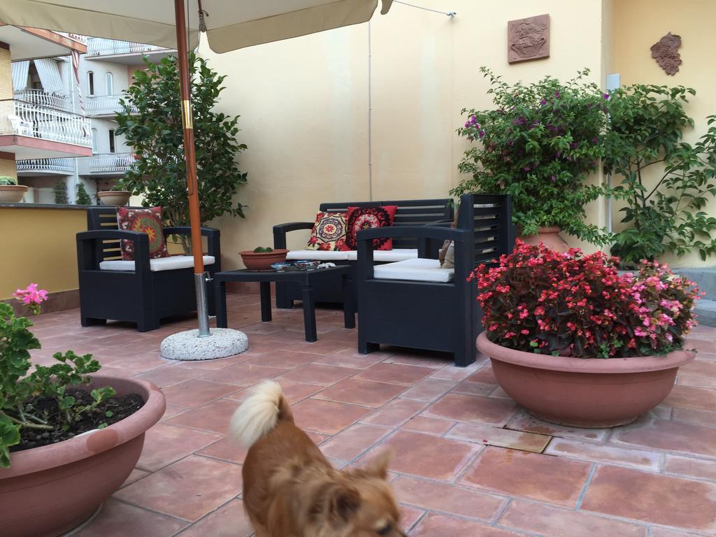 A Casa Di Grace Bed & Breakfast Cassino Dış mekan fotoğraf